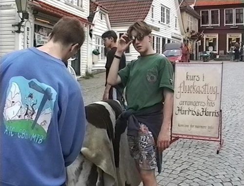 28 Jul 1995 · Norway: Day 3 Bergen to Flåm